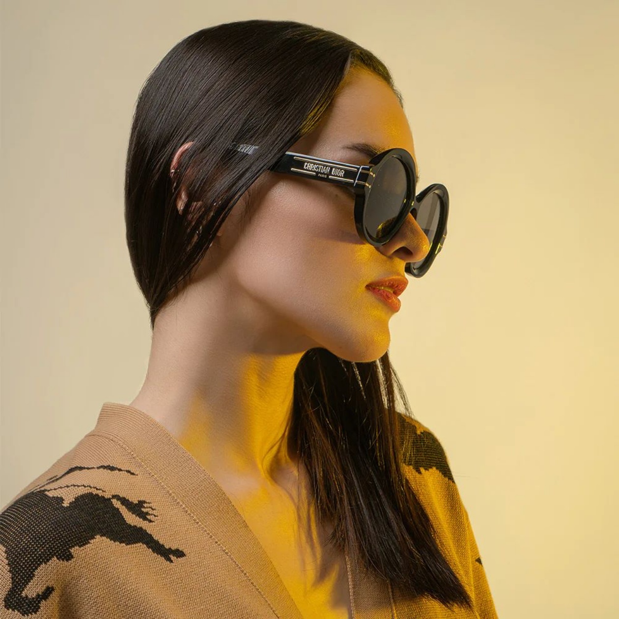 Christian Dior Signature R1U Round Sunglasses Black