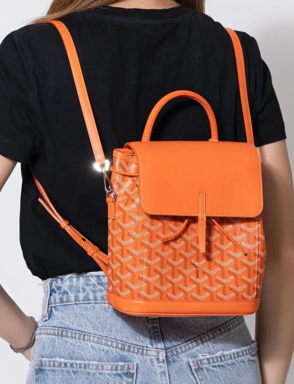 Goyard Alpin Mini Backpack Orange