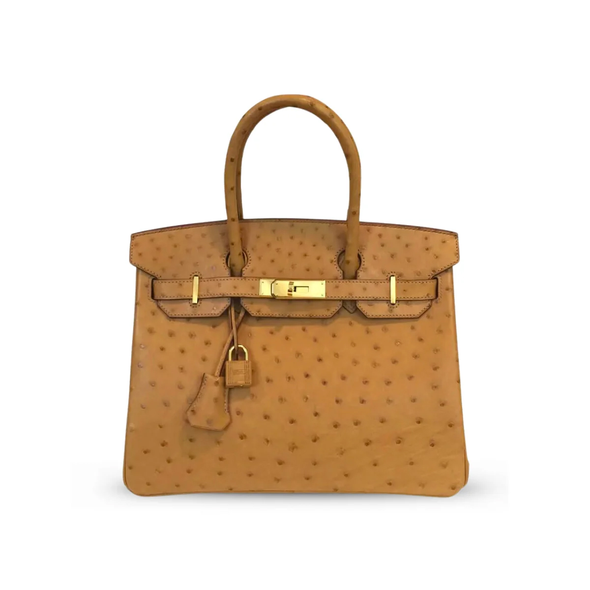 Hermès Birkin 30