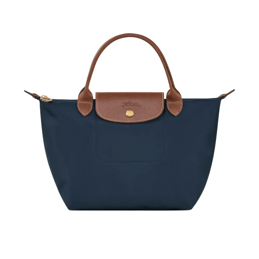 Longchamp bag