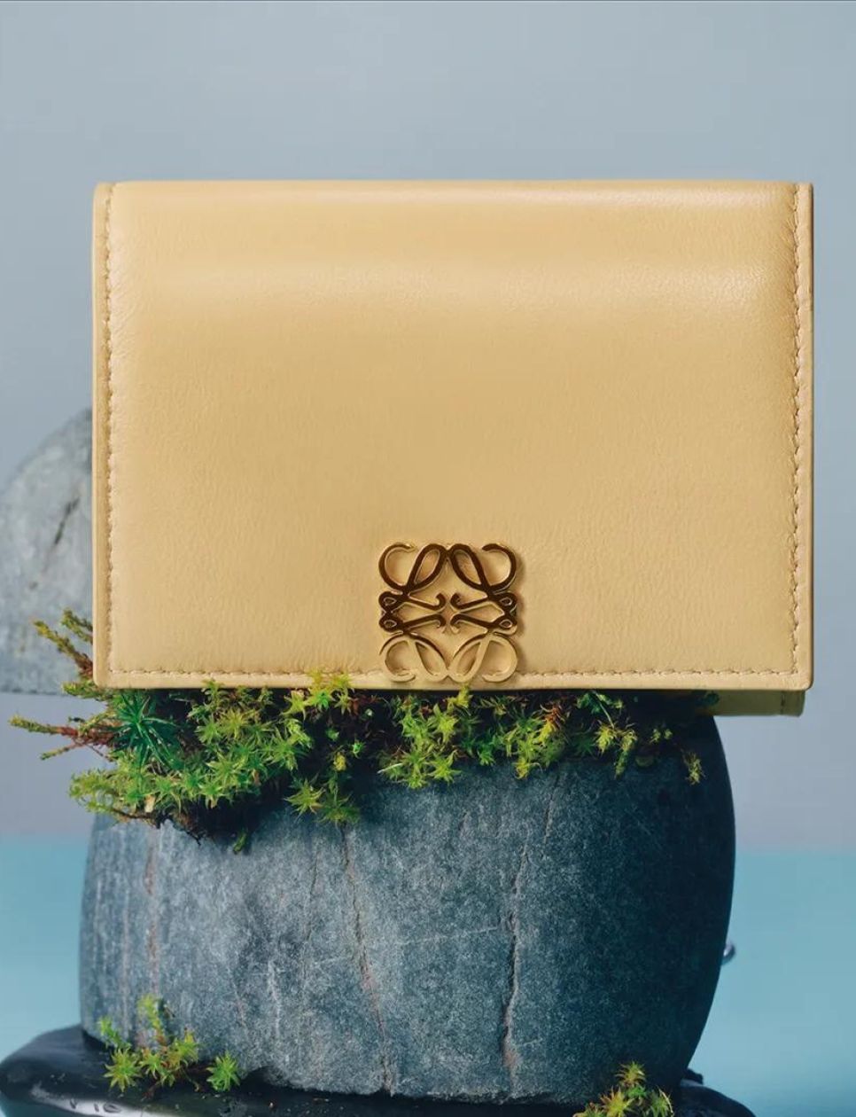 Trifold wallet dari Loewe