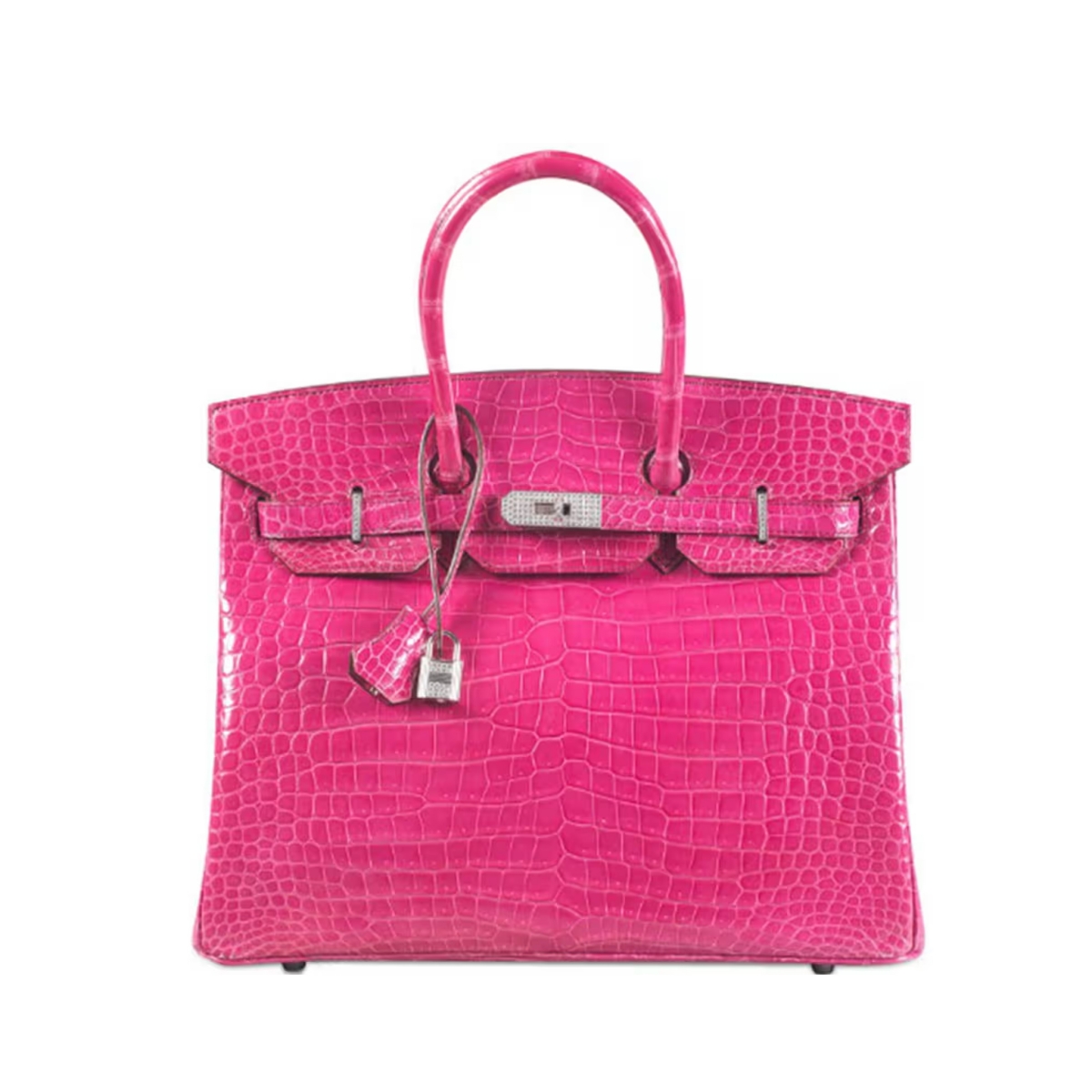 Hermès Birkin Fuchsia Diamond-Studded