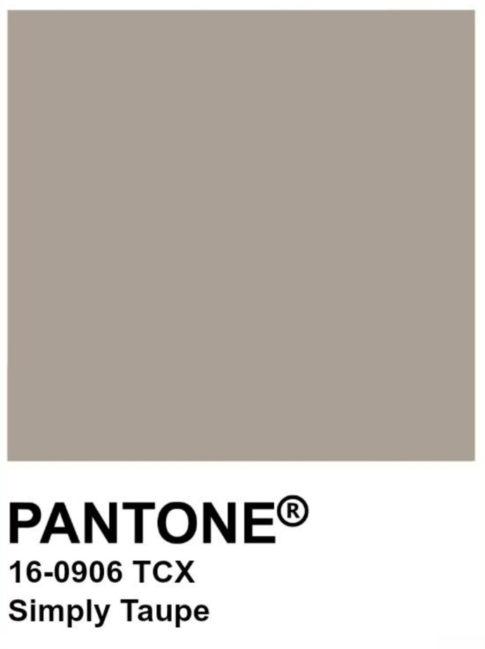 Warna yang Cocok dengan Taupe