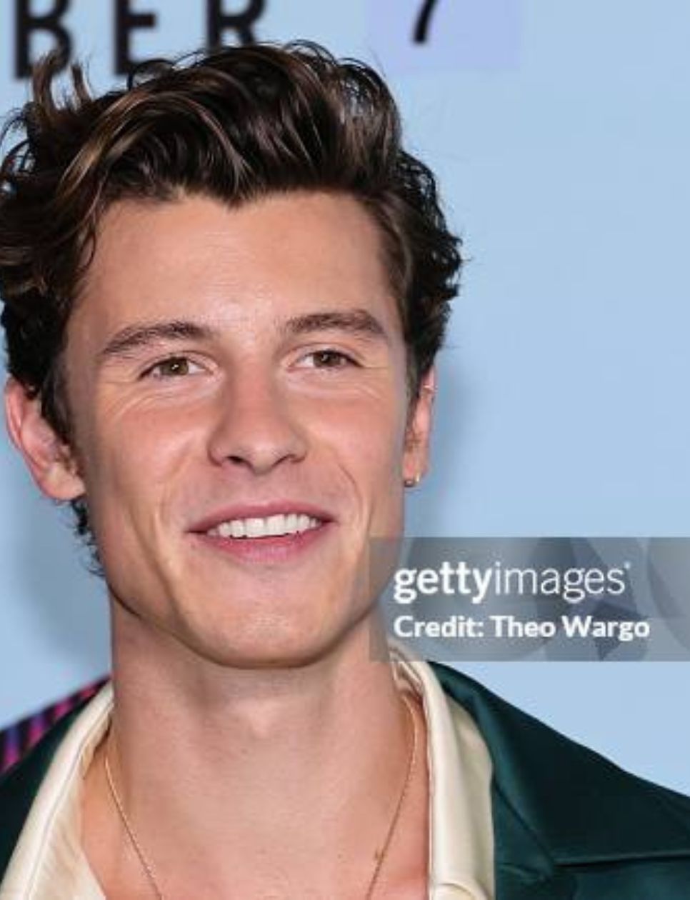 Shawn Mendes attends the world premiere of 