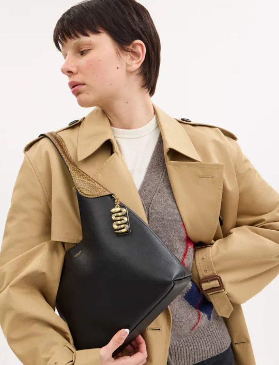 Brooklyn bag dengan detail kulit ular (sumber gambar: coach.com)