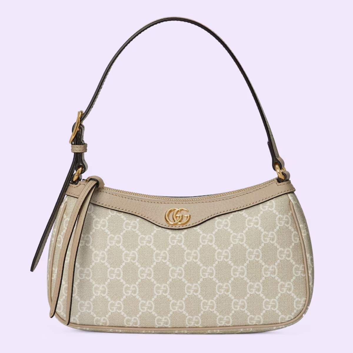 5. Gucci Ophidia Bags
