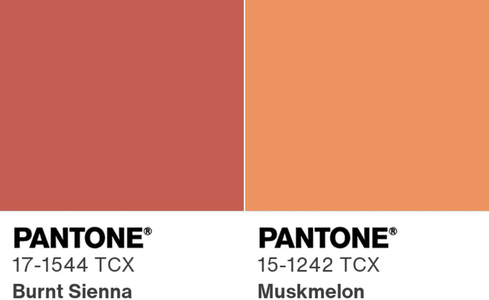 Warna warm earth yang akan menjadi tren 2026 (sumber gambar: https://www.pantone.com/articles/fashion-color-trend-report/new-york-fashion-week-spring-summer-2026)