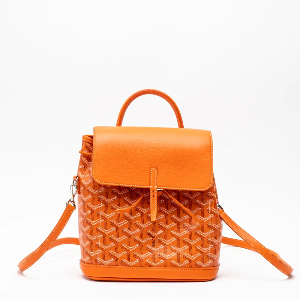 Goyard Alpin Mini Backpack